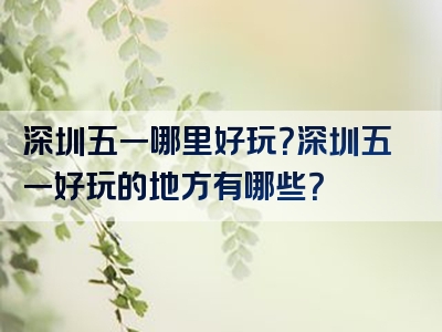 深圳五一哪里好玩？深圳五一好玩的地方有哪些？