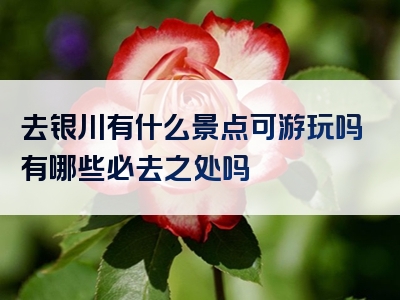 去银川有什么景点可游玩吗有哪些必去之处吗