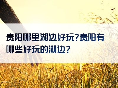 贵阳哪里湖边好玩？贵阳有哪些好玩的湖边？