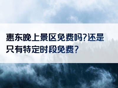 惠东晚上景区免费吗？还是只有特定时段免费？