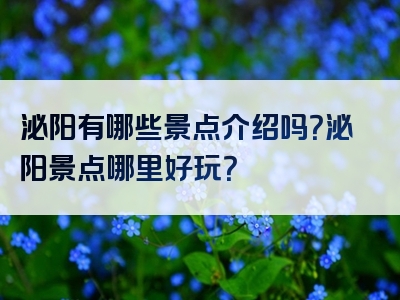 泌阳有哪些景点介绍吗？泌阳景点哪里好玩？