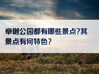 章樾公园都有哪些景点？其景点有何特色？