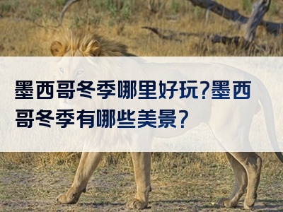 墨西哥冬季哪里好玩？墨西哥冬季有哪些美景？