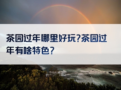 茶园过年哪里好玩？茶园过年有啥特色？