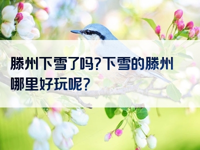 滕州下雪了吗？下雪的滕州哪里好玩呢？