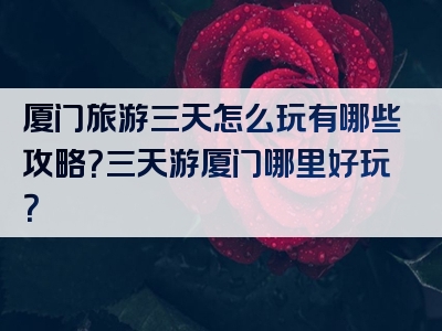 厦门旅游三天怎么玩有哪些攻略？三天游厦门哪里好玩？