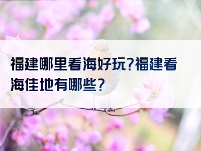 福建哪里看海好玩？福建看海佳地有哪些？