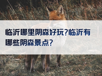 临沂哪里阴森好玩？临沂有哪些阴森景点？