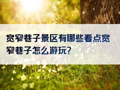 宽窄巷子景区有哪些看点宽窄巷子怎么游玩？
