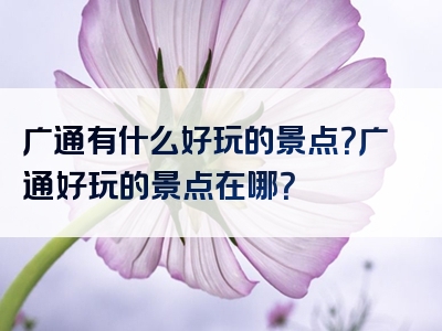 广通有什么好玩的景点？广通好玩的景点在哪？