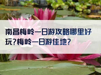 南昌梅岭一日游攻略哪里好玩？梅岭一日游佳地？