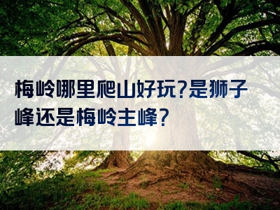 梅岭哪里爬山好玩？是狮子峰还是梅岭主峰？