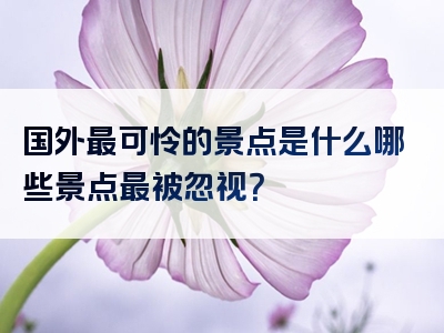 国外最可怜的景点是什么哪些景点最被忽视？