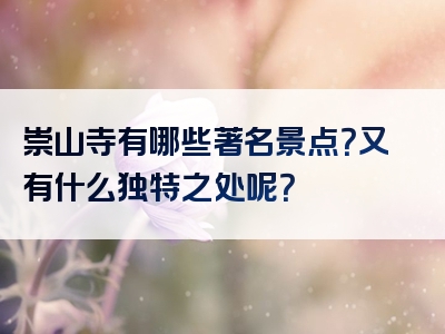 崇山寺有哪些著名景点？又有什么独特之处呢？