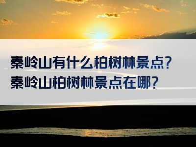 秦岭山有什么柏树林景点？秦岭山柏树林景点在哪？