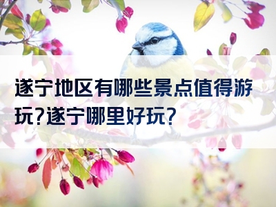 遂宁地区有哪些景点值得游玩？遂宁哪里好玩？