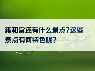 雍和宫还有什么景点？这些景点有何特色呢？