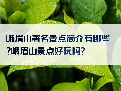 峨眉山著名景点简介有哪些？峨眉山景点好玩吗？