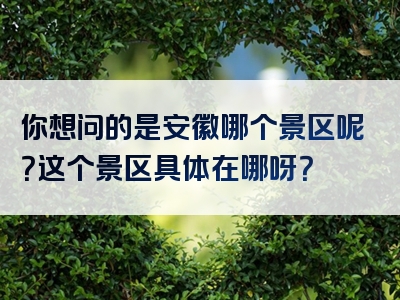 你想问的是安徽哪个景区呢？这个景区具体在哪呀？