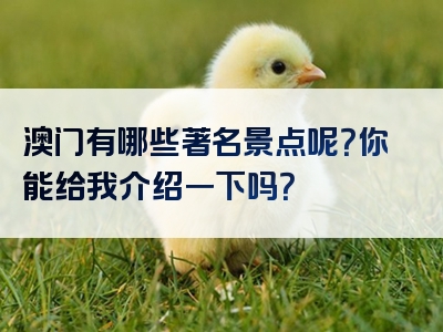 澳门有哪些著名景点呢？你能给我介绍一下吗？