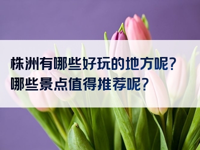 株洲有哪些好玩的地方呢？哪些景点值得推荐呢？
