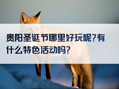 贵阳圣诞节哪里好玩呢？有什么特色活动吗？