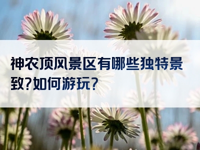 神农顶风景区有哪些独特景致？如何游玩？