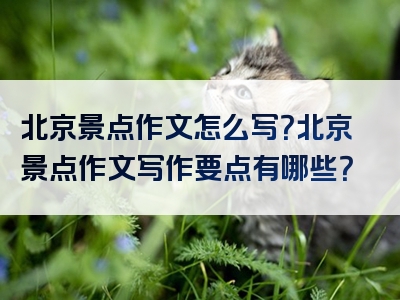 北京景点作文怎么写？北京景点作文写作要点有哪些？