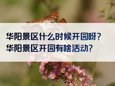 华阳景区什么时候开园呀？华阳景区开园有啥活动？