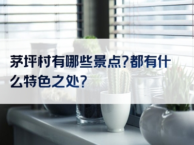 茅坪村有哪些景点？都有什么特色之处？