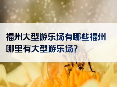 福州大型游乐场有哪些福州哪里有大型游乐场？