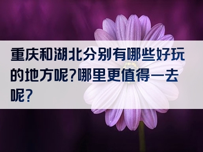 重庆和湖北分别有哪些好玩的地方呢？哪里更值得一去呢？