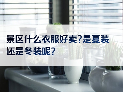 景区什么衣服好卖？是夏装还是冬装呢？