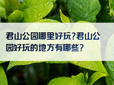 君山公园哪里好玩？君山公园好玩的地方有哪些？