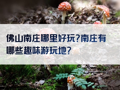 佛山南庄哪里好玩？南庄有哪些趣味游玩地？