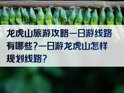 龙虎山旅游攻略一日游线路有哪些？一日游龙虎山怎样规划线路？
