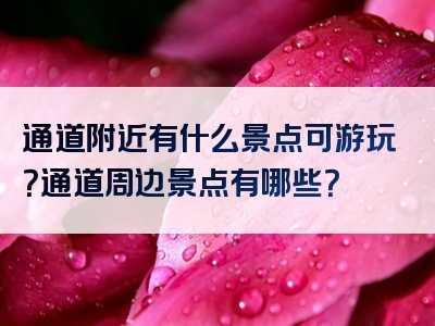 通道附近有什么景点可游玩？通道周边景点有哪些？
