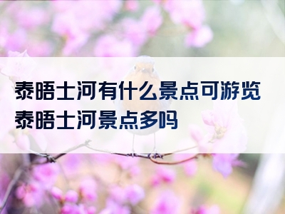 泰晤士河有什么景点可游览泰晤士河景点多吗
