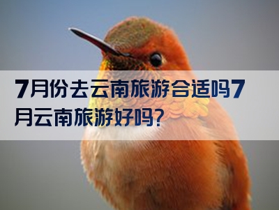 7月份去云南旅游合适吗7月云南旅游好吗？