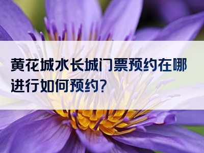 黄花城水长城门票预约在哪进行如何预约？