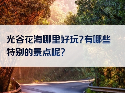 光谷花海哪里好玩？有哪些特别的景点呢？