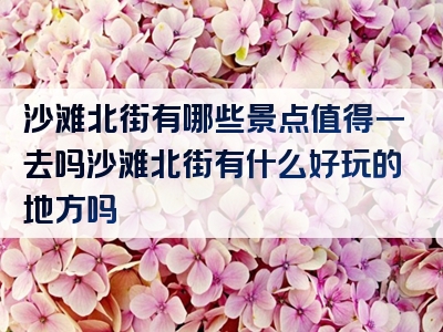 沙滩北街有哪些景点值得一去吗沙滩北街有什么好玩的地方吗