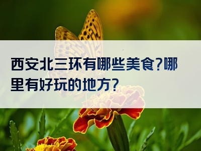 西安北三环有哪些美食？哪里有好玩的地方？