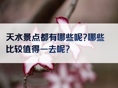 天水景点都有哪些呢？哪些比较值得一去呢？