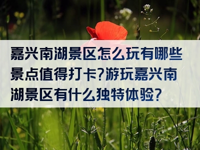 嘉兴南湖景区怎么玩有哪些景点值得打卡？游玩嘉兴南湖景区有什么独特体验？