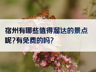 宿州有哪些值得溜达的景点呢？有免费的吗？