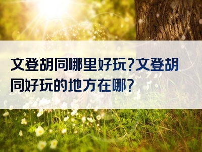 文登胡同哪里好玩？文登胡同好玩的地方在哪？