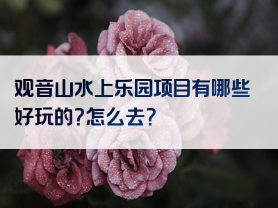 观音山水上乐园项目有哪些好玩的？怎么去？