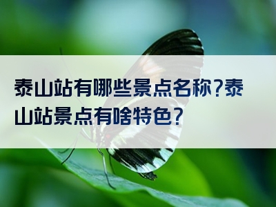 泰山站有哪些景点名称？泰山站景点有啥特色？