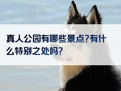 真人公园有哪些景点？有什么特别之处吗？